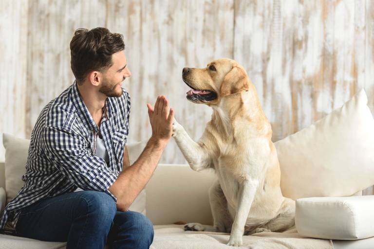 Active Creatures: fashion for two legs or four paws