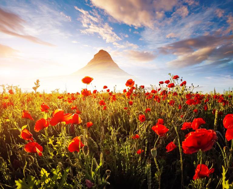 Celebrating Earth Day: 10 sustainable small businesses