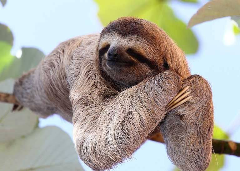 Don’t let your content marketing be lazy