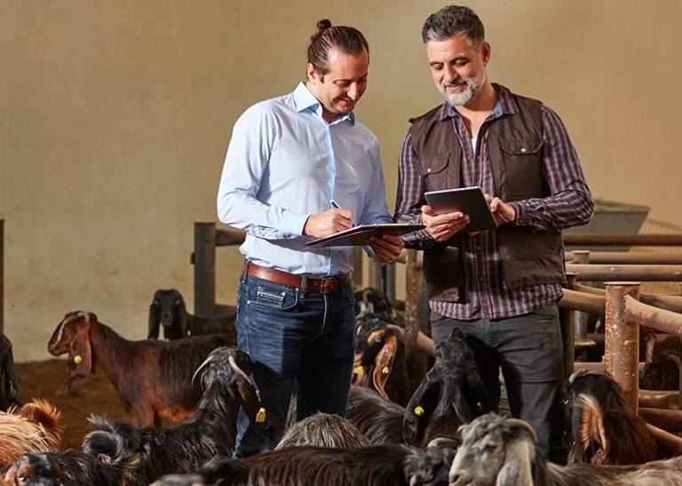Why investing in small business advisory is worth every penny