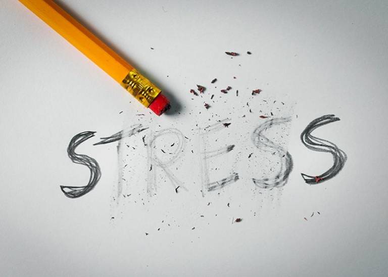 Four tools to manage stress and strengthen your frame of mind