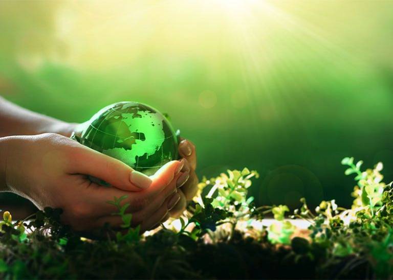 Is your business green? Here’s why sustainability is key to your future success!