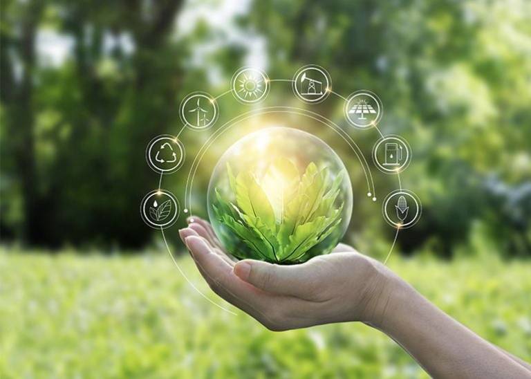 How to be a more sustainable business in 2024