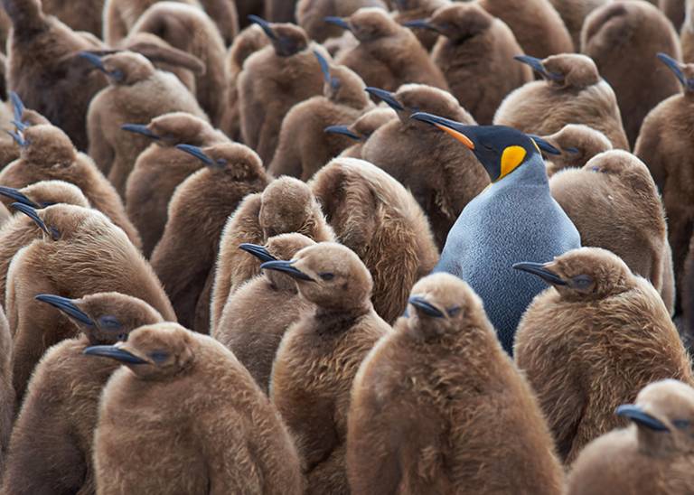 Unlocking the power of ‘unique follower point’ (UFP)  : Here’s why it matters