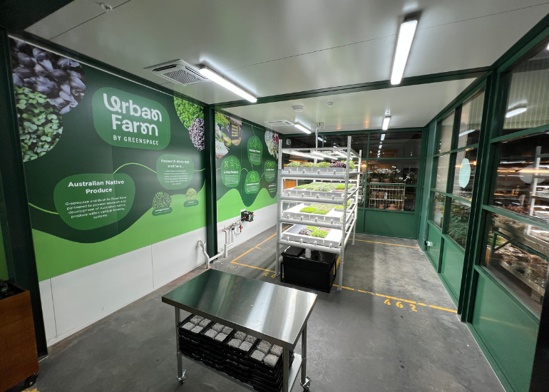 The new Paddy's Markets Greenspace urban farm offers educational tours. Image: Supplied.