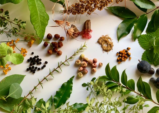 Bush ingredients