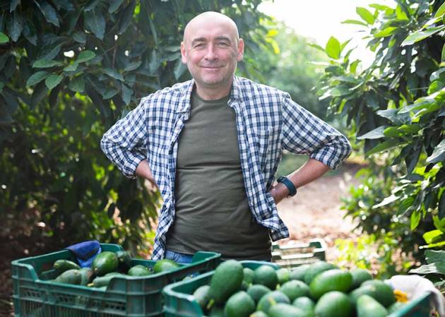 rural business owner stands behind a crate of fresh picked avocados