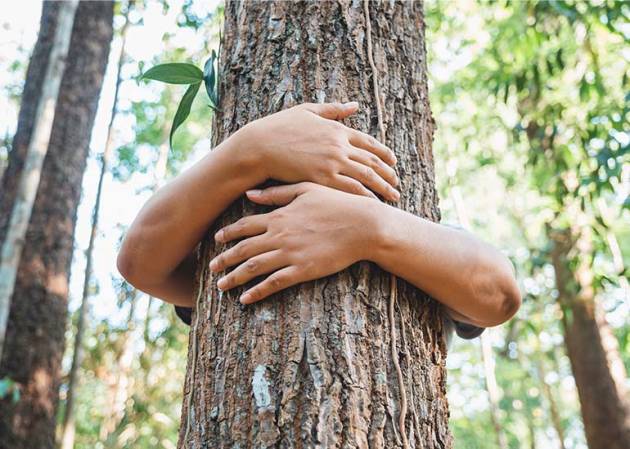 sustainability concept" person with arms wrapped around a tree hugging the tree.